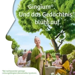 GINGIUM 120 mg Filmtabletten 60 St