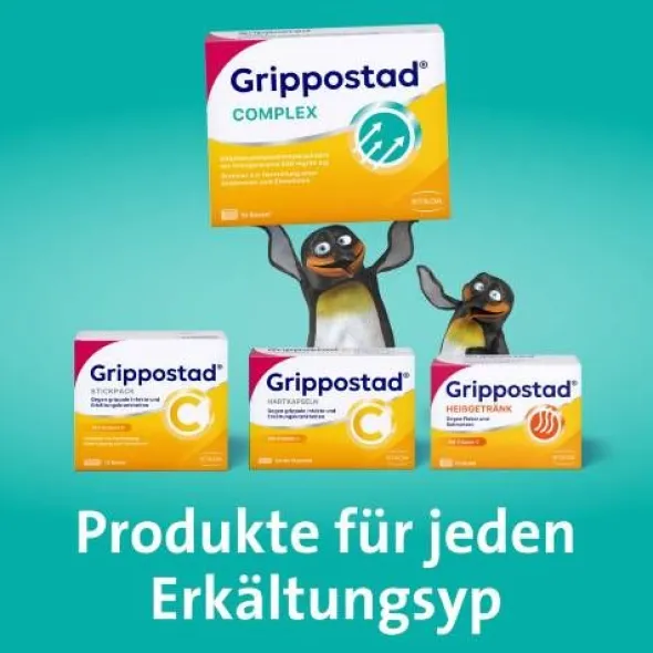 GRIPPOSTAD Complex ASS/Pseudoeph.500/30 mg Orange 20 St