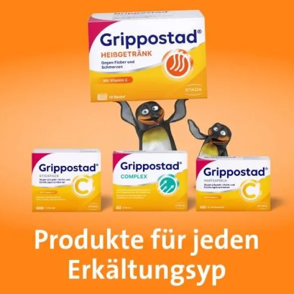 GRIPPOSTAD Heißgetränk Pulver 10 St