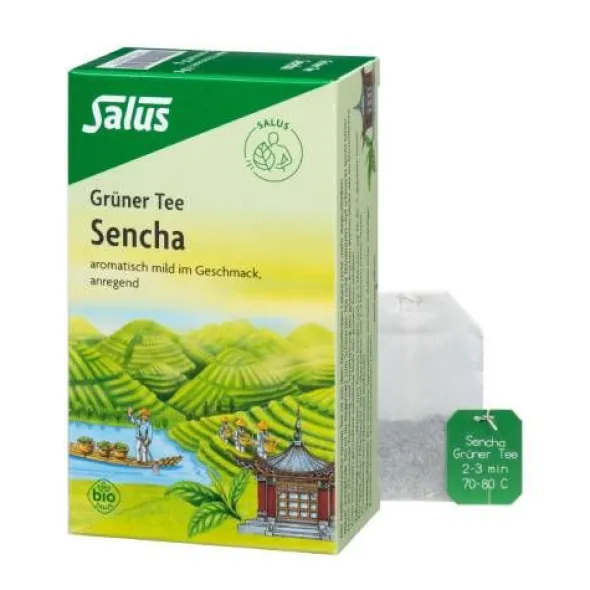 GRÜNER TEE Bio Salus Filterbeutel 15 St