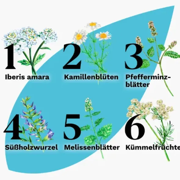 IBEROGAST ADVANCE Flüssigkeit zum Einnehmen 20 ml