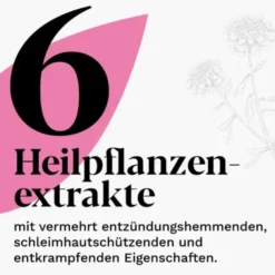 IBEROGAST ADVANCE Flüssigkeit zum Einnehmen 50 ml