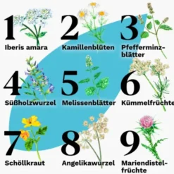 IBEROGAST Classic Flüssigkeit zum Einnehmen 20 ml