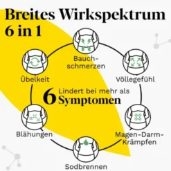 IBEROGAST Classic Flüssigkeit zum Einnehmen 20 ml