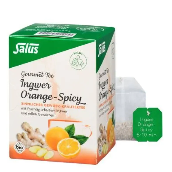 INGWER ORANGE Spicy Tee Salus Filterbeutel 15 St