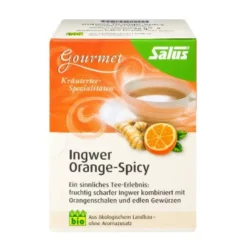 INGWER ORANGE Spicy Tee Salus Filterbeutel 15 St