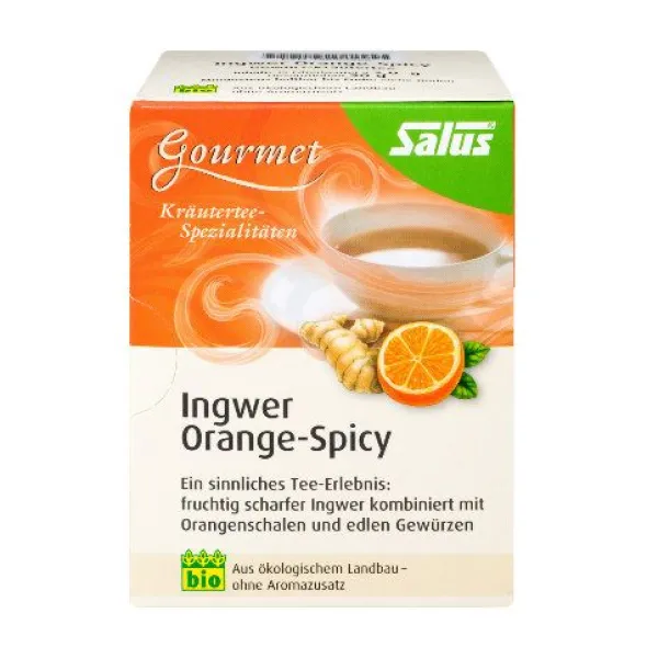 INGWER ORANGE Spicy Tee Salus Filterbeutel 15 St