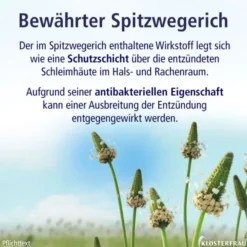 KLOSTERFRAU Hustensaft 240 g