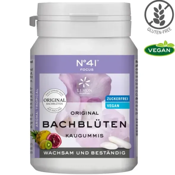 KONZENTRATION Kaugummi nach Dr.Bach 40 St