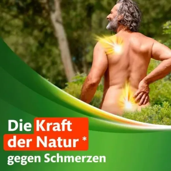 KYTTA Schmerzsalbe 50 g