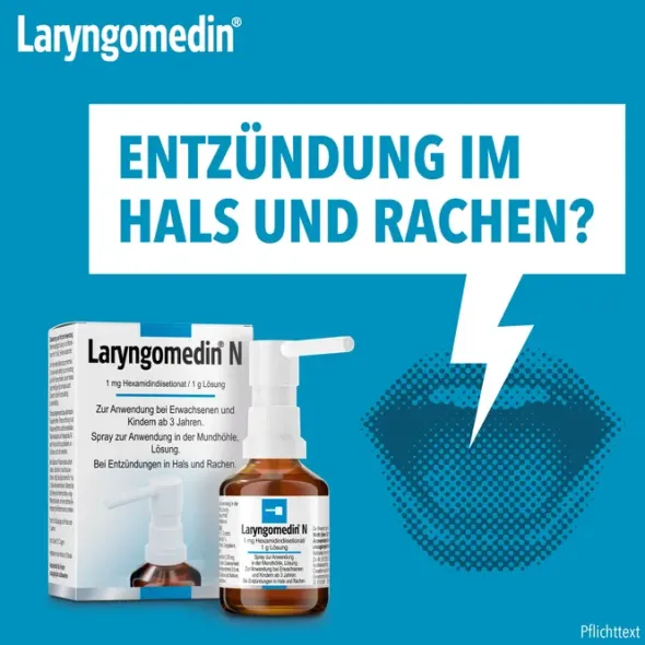 LARYNGOMEDIN N Spray 45 g