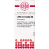 LUFFA OPERCULATA D 6 Globuli 10 g