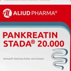 PANKREATIN STADA 20.000 magensaftres.Hartk.ALIUD 200 St