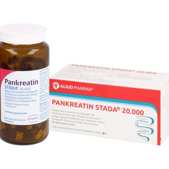 PANKREATIN STADA 20.000 magensaftres.Hartk.ALIUD 100 St
