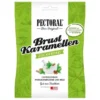 PECTORAL Brustkaramellen zuckerfrei Beutel 60 g
