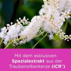 REMIFEMIN mono Tabletten 60 St