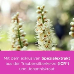 REMIFEMIN plus Johanniskraut Filmtabletten 60 St
