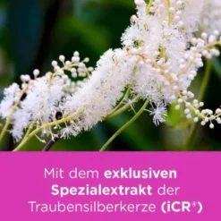 REMIFEMIN Tabletten 100 St