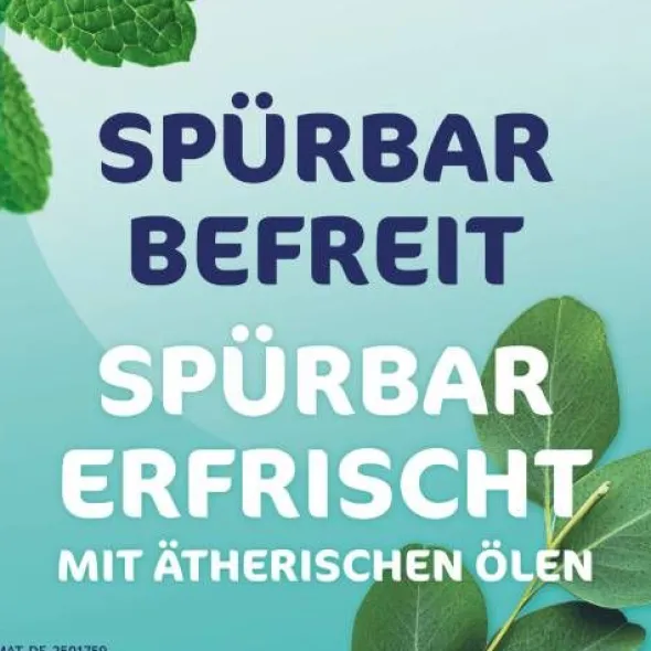 RHINOSPRAY plus b.Schnupfen m.Feindosierer 10 ml