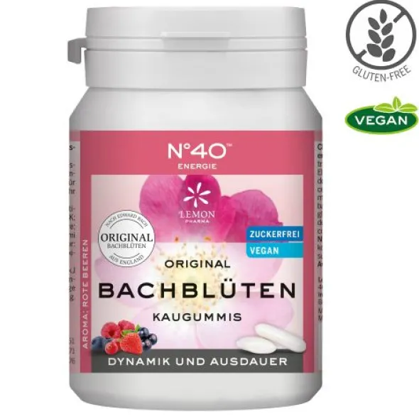 SELBSTVERTRAUEN Kaugummi nach Dr.Bach 40 St