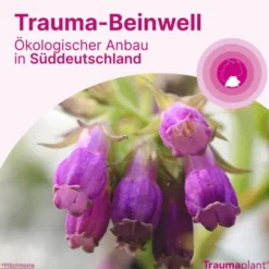 TRAUMAPLANT Schmerzcreme 100 g