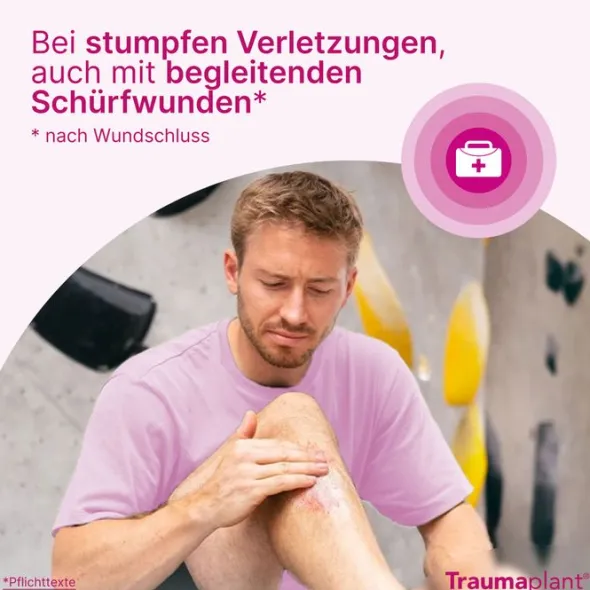TRAUMAPLANT Schmerzcreme 100 g