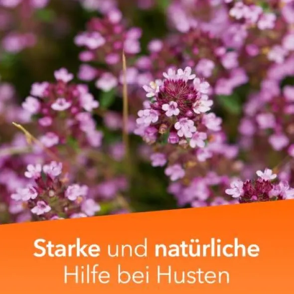 TUSSAMAG concent Hustensaft 30,2 g/100 ml Sirup 100 ml